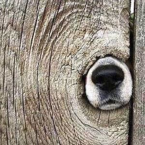 Meet your Posher, Kesha